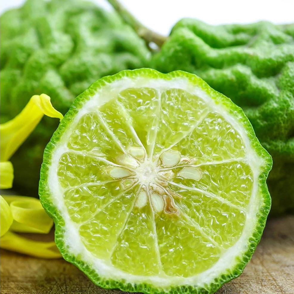 Canvas Bergamot Non - Phototoxic Oil Organic - Elegant Beauty - Canvas