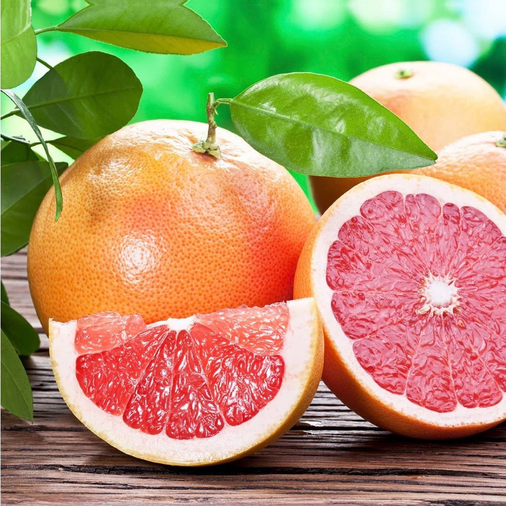 Canvas Grapefruit Essential Oil - Elegant Beauty - Canvas