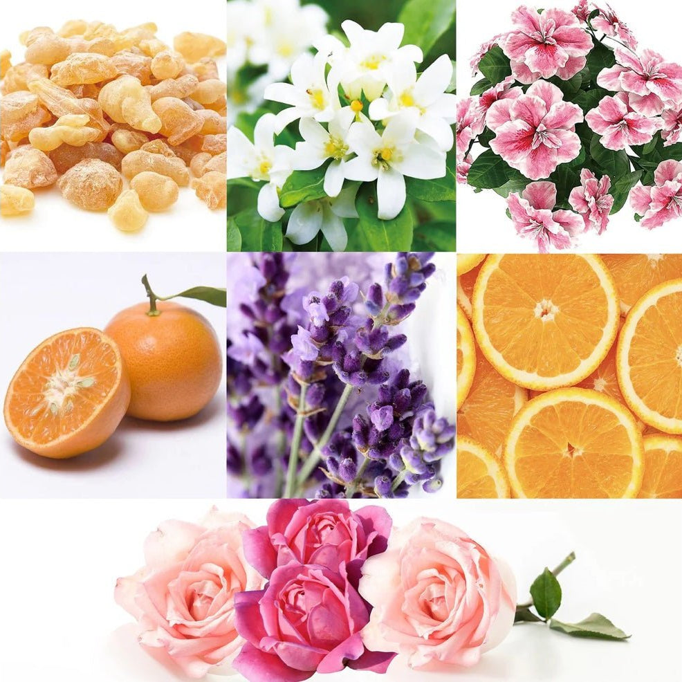 Canvas Love & Cherish Essential Oil Blend - Elegant Beauty - Canvas