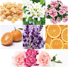 Canvas Love & Cherish Essential Oil Blend - Elegant Beauty - Canvas