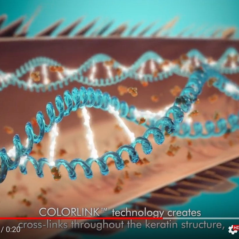 Moroccanoil Protect & Prevent Spray - Elegant Beauty - Moroccanoil