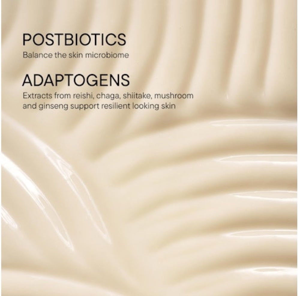 BABOR DOCTOR BABOR MICROBIOMIC Stress Defense Mushroom Cream - Elegant Beauty - Babor