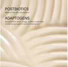 BABOR DOCTOR BABOR MICROBIOMIC Stress Defense Mushroom Cream - Elegant Beauty - Babor