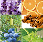 Canvas Twilight Romance Essential Oil Blend - Elegant Beauty - Canvas