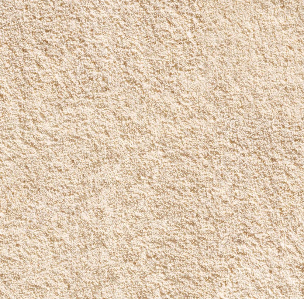 dermalogica daily milkfoliant (74g / 170g) - Elegant Beauty - dermalogica