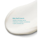 NeoStrata PHA Barrier Recovery Cream - Elegant Beauty-NeoStrata