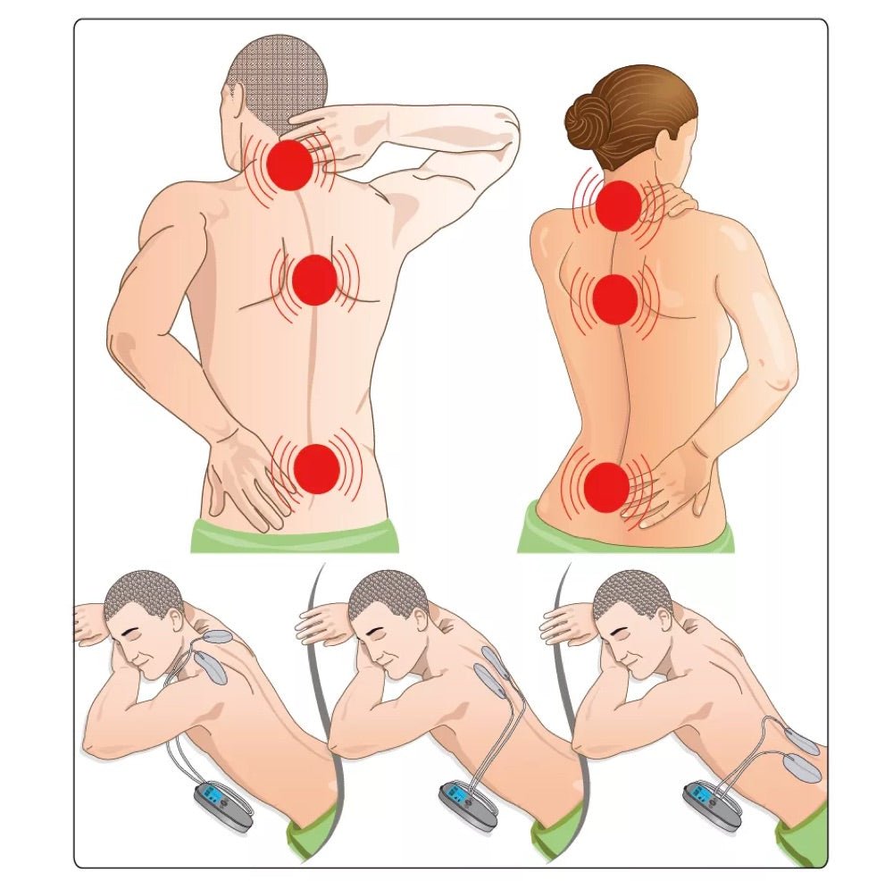 Veinoplus Back - Elegant Beauty - Veinoplus