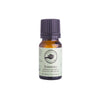 Perfect Potion Rosemary Essential Oil - Elegant Beauty-Perfect Potion